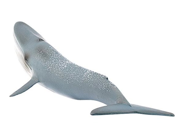 Schleich Wild Life - Blåval
