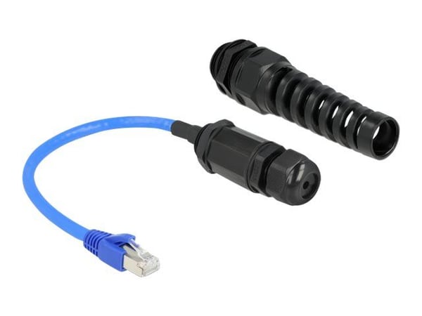 DeLOCK 66809, 0,25 m, Cat6, SF/UTP (S-FTP), RJ-45, RJ-45, Musta, Sininen
