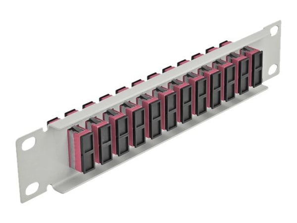 Delock - Patch-panel - SC Duplex MM X 12 - grå - 1U - 10"