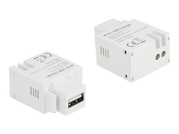 Delock - Strömadapter - 10.5 Watt - 2.1 A (USB) - vit
