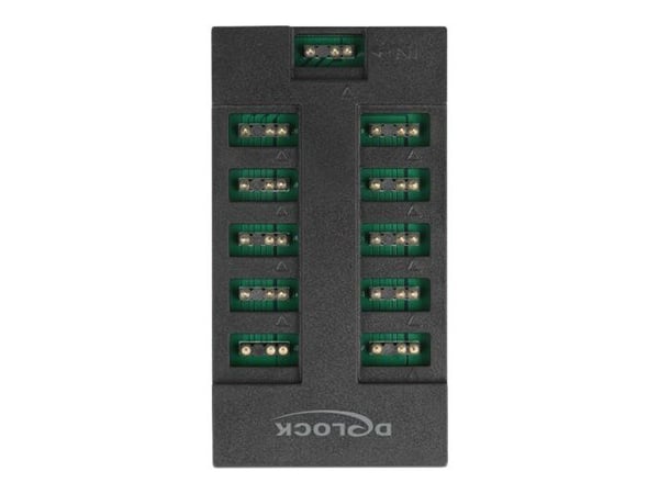 Delock - RGB LED-lyshub - 10 ports - svart