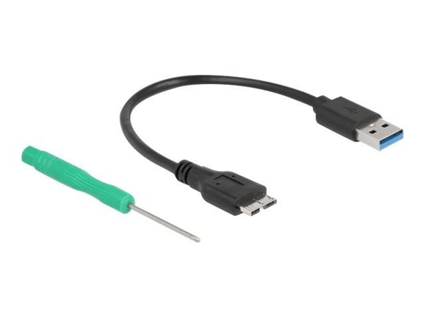 Delock - Lagringspakke - M.2 - 1 kanal - M.2-kort - USB 3.2 (Gen 2) - svart