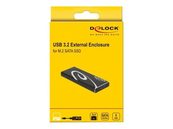 Delock - Lagringspakke - M.2 - 1 kanal - M.2-kort - USB 3.2 (Gen 2) - svart