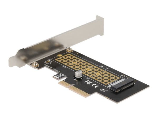 Delock - Lagringskontroll - M.2 - 1 kanal - M.2 NVMe-kort - PCIe 4.0 x4