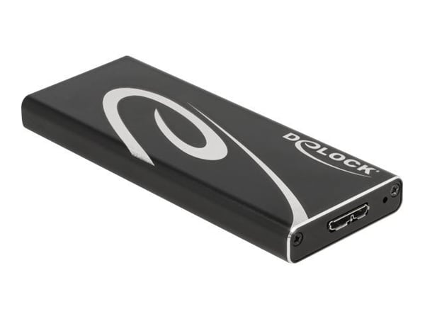 Delock - Lagringspakke - M.2 - 1 kanal - M.2-kort - USB 3.2 (Gen 2) - svart