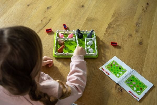 Smart Games - - pussel