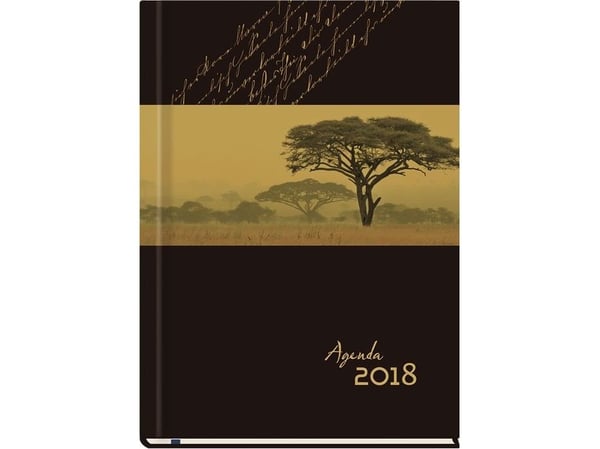Michalczyk & Prokop Planlegg Agenda A5, Tre (T-Agenda-01)