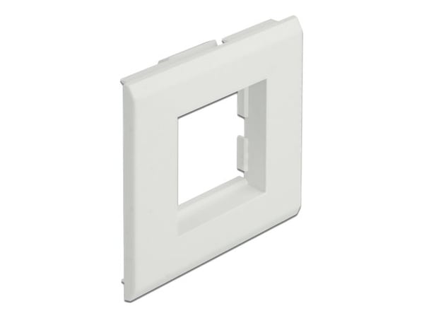 Delock - Easy 45 - ram - 2 modules - vit, RAL 9003