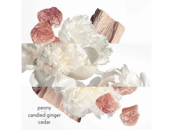 Hermes HERMES TWILLY D ~ HERMES EAU GINGER (W) EDP/S 50ML