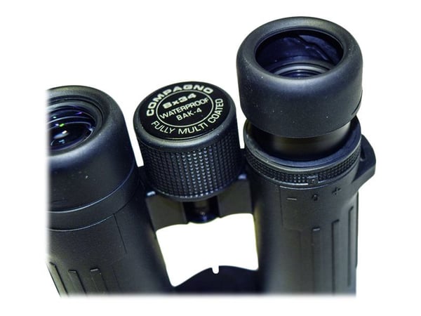 BRAUN Compagno - Kikkerter 8 x 34 WP - tåkebestandig, vanntett - tak