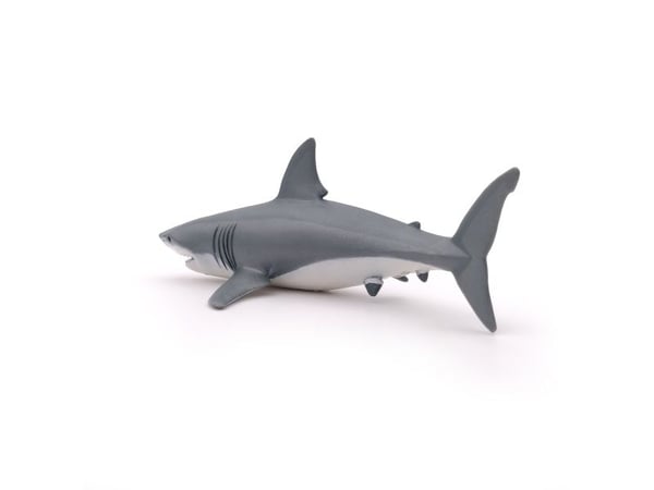 Papo 56002, 3 år, Marine life, Grå, Hvit, PVC