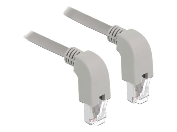 Delock - Patchkabel - RJ-45 (han) nedvinklet til RJ-45 (han) nedvinklet - 2 m - S/FTP - CAT 6a - booted, halogenfri - grå