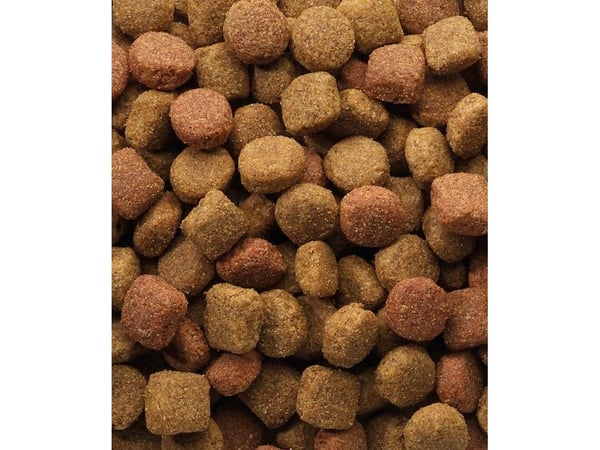 Versele-Laga Duo Krok, Senior, 20 kg