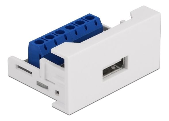 Delock - Easy 45 - click i-modul - USB - 1 modul - vit, RAL 9003