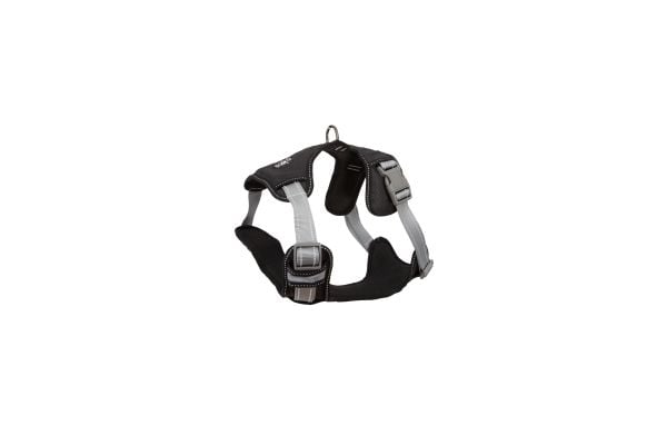 Paw Love - Y-sele hund - str 70 (Medium) - Sort