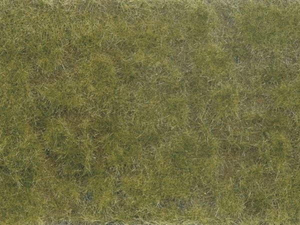 NOCH 07254, Brun, Grønn