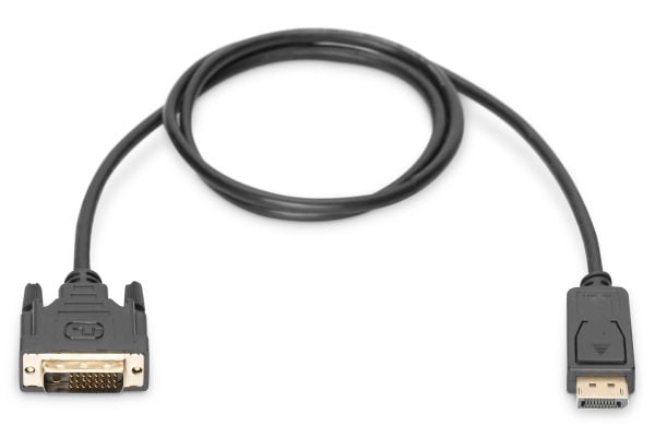 ASSMANN - DisplayPort-kabel - DisplayPort (hann) til DVI-D (hann) - 5 m - formstøpt, tommelskruer - svart