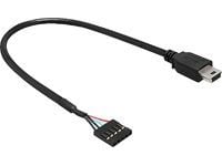 Delock USB 2.0 Pin Header - Intern-til-ekstern USB-adapter - mini-USB type B (hann) til 5-pins USB 2.0-hode (hunn) - 30 cm - svart
