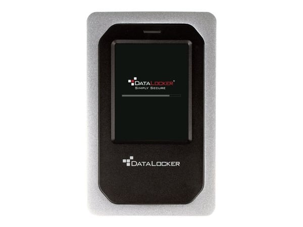 DataLocker DL4 FE - Harddisk - kryptert - 1 TB - ekstern (bærbar) - USB 3.2 (USB-C kontakt) - FIPS 140-2 Level 3, 256-bit AES-XTS - TAA-samsvar