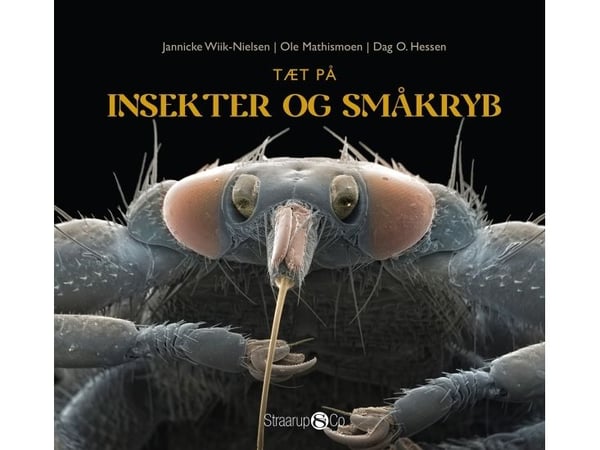 Tett på insekter og småkryp | Jannicke Wiik-Nielsen, Dag O. Hessen og Ole Mathismoen | Språk: Dansk