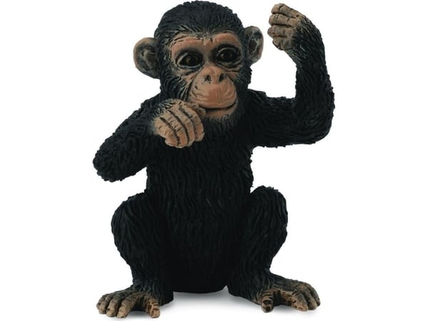 Collecta figur ung tenkende sjimpanse (004-88495)