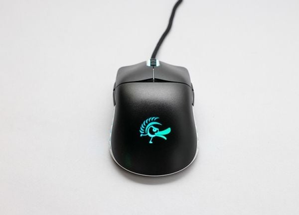 Ducky Feather - Mus
