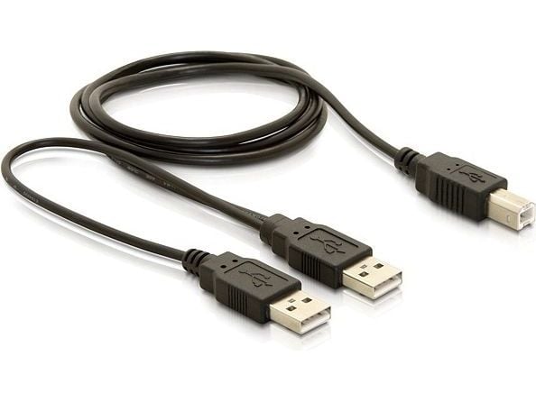 Delock - USB-kabel - USB-type B (hann) til USB (hann) - USB 2.0 - 1 m