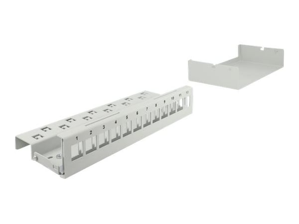 Delock - Blankt Keystone pluggbord - veggmonterbar, DIN-skinnemonterbar - grå - 12 porter