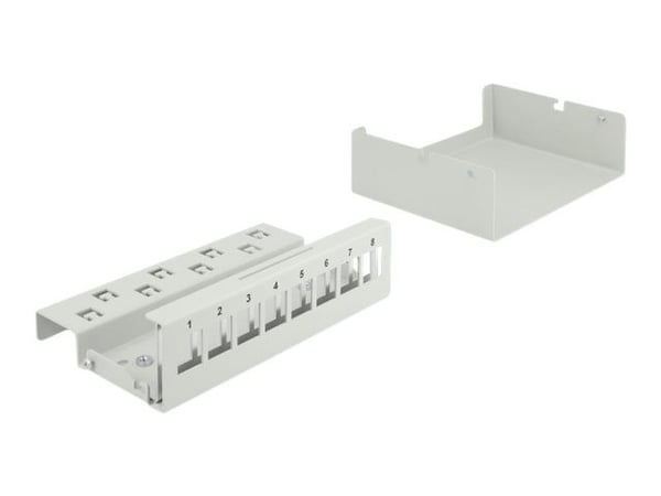 Delock - Blankt Keystone pluggbord - veggmonterbar, DIN-skinnemonterbar - grå - 8 porter