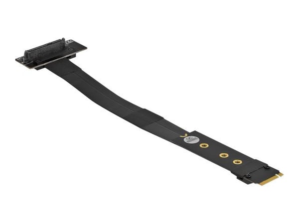 Delock - Grensesnittsadapter - U.2 NVMe - M.2 Card
