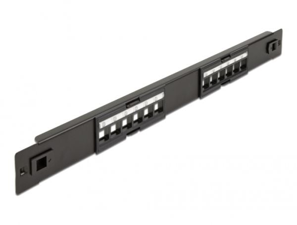 Delock - Pluggbord (blankt) - rackmonterbar - svart - 1U - 19" - 12 porter