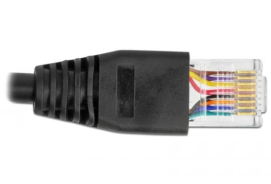 Delock - Seriell adapter - USB (hann) til RJ-45 (hann) - 50 cm - USB / USB 2.0 / EIA-232 - svart