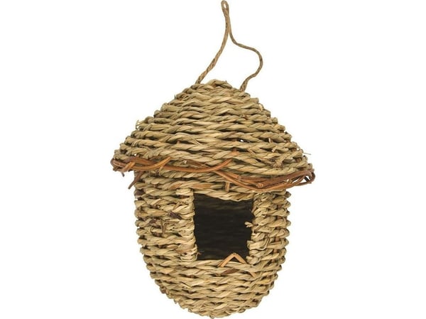 Panama Pet tang reir 14 x 16 cm