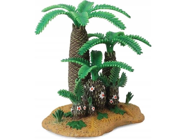 MONANTHESIA & CYCADEOIDEA tre (XL)