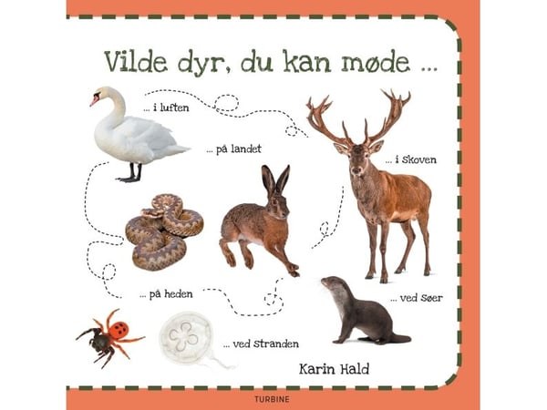 Vilde dyr, du kan møte | Karin Hald | Språk: Dansk