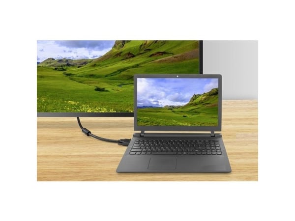 Renkforce RF-4695150, 20 m, DVI-D, DVI-D, Hanstik, Hanstik, Lajittelu