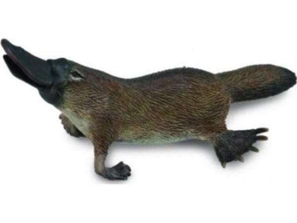 Collecta figur Dziobak australsk (M)