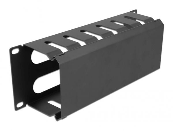 Delock - Rack cable management routing panel - with 2 openings - svart - 1U - 10"