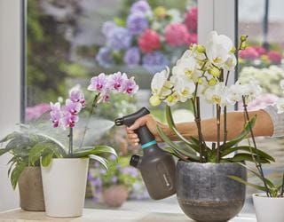 GARDENA batteridriven spridare EasyPump 1 l