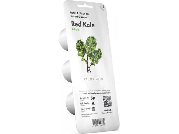 Click & Grow 4742793008752, Syötävä kasvi, Red kale, Aloituspakkaus, 3 kpl, Laatikko