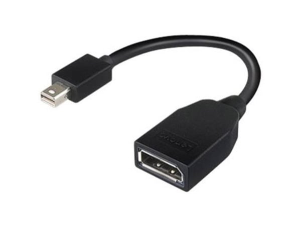 Lenovo - DisplayPort-adapter - Mini DisplayPort (hann) til DisplayPort (hunn) - 17.6 cm - for ThinkCentre M70; M75t Gen 2; M80; M90; ThinkStation P...