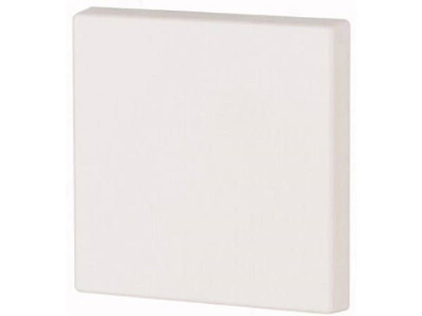 Eaton CWIZ-01/31, Rocker, Hvit, Plast, IP20, 55 mm, 55 mm