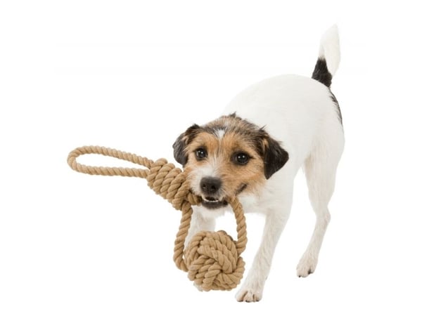 TRIXIE BE NORDIC, Hund, Rep, Brun, Bomull, Polyester, 7 cm, 200 mm