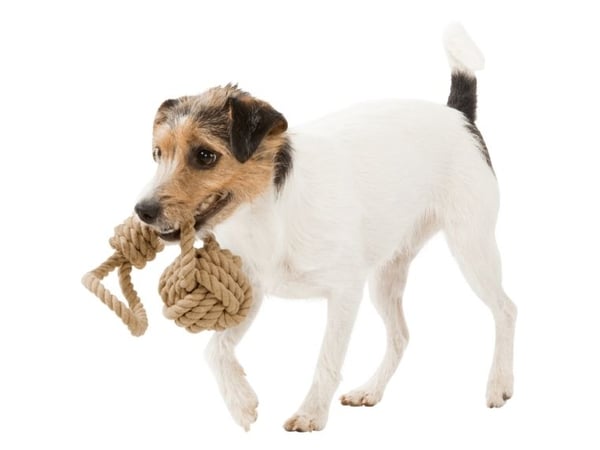 TRIXIE BE NORDIC, Hund, Rep, Brun, Bomull, Polyester, 7 cm, 200 mm