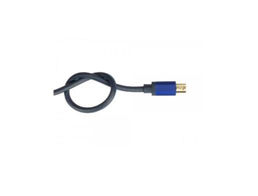 Alcasa 4824-SF020B, 2 m, DisplayPort, Mini DisplayPort, Hankjønn, Hankjønn, 768 x 432 piksler