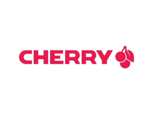 CHERRY DW 9100 SLIM, RF Wireless + Bluetooth, Hopea, Sisältää hiiren