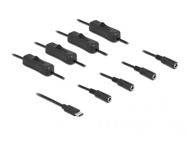 Delock - Strømsplitter - 24 pin USB-C (hann) til 5,5 x 2,1 mm DC-jakk (hunn) - 1 m - svart