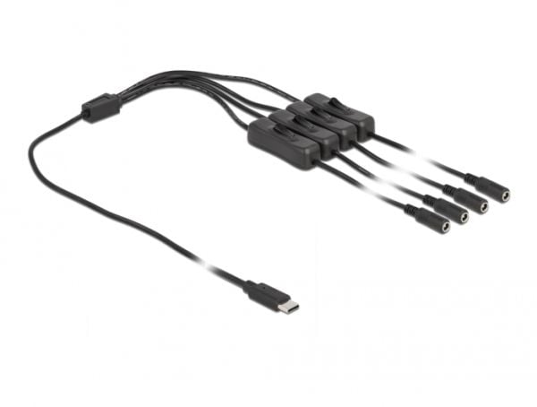 Delock - Strømsplitter - 24 pin USB-C (hann) til 5,5 x 2,1 mm DC-jakk (hunn) - 1 m - svart