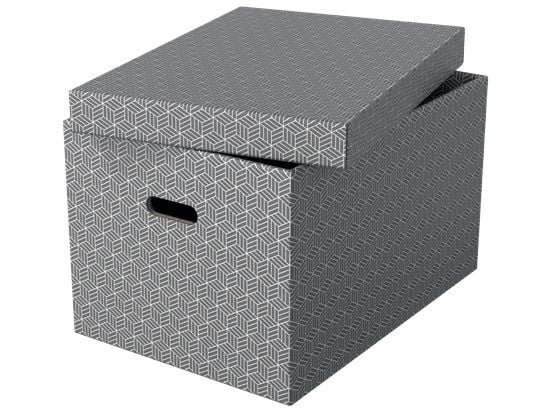 Esselte Home - Opbevaringsboks - large - grå (pakke med 3)