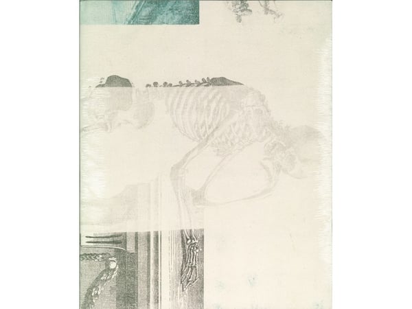 Robert Rauschenberg, Lurid Attack | Jens Faurschou, Roni Feinstein | Kieli: Tanska
